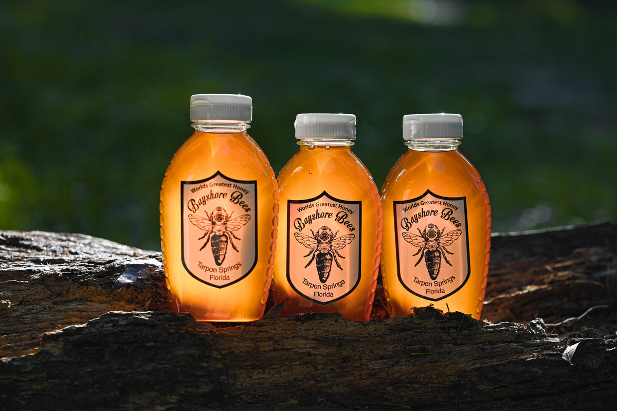 3 Pounds Bayshore Bees Local Raw Tarpon Springs Honey