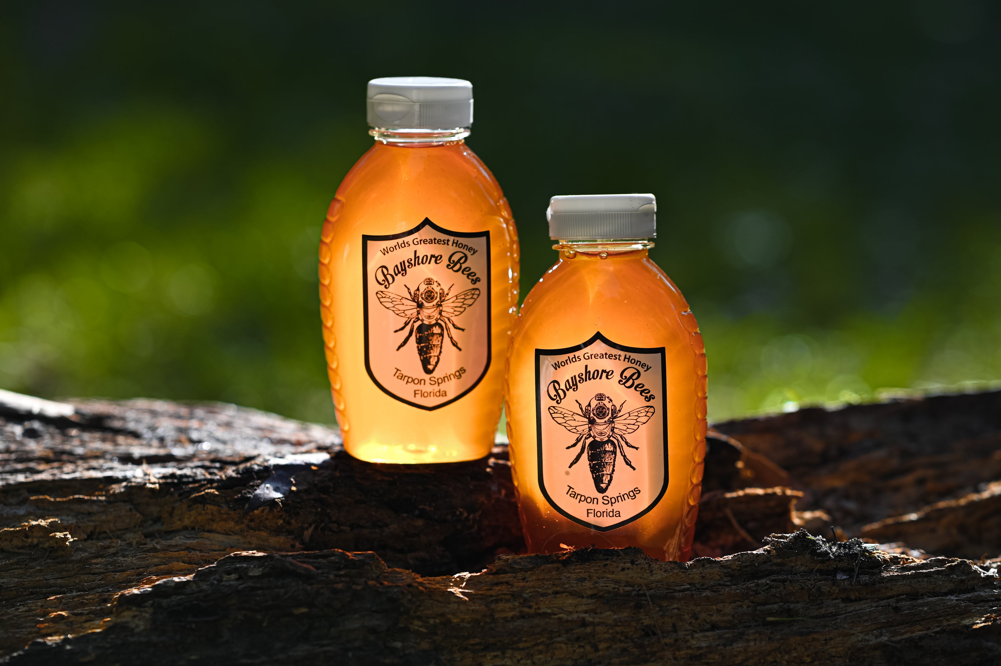 BayshoreBees2022-3_3500x.jpg?v