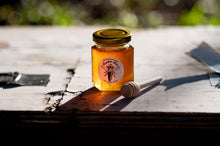 Load image into Gallery viewer, 3 Oz Honey Favors W/Dipper